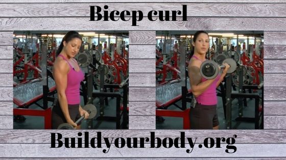 Biceps curl, Fitness exercises