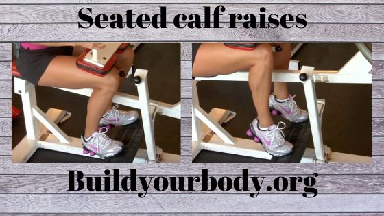 Seated calf raises, Fitness exercises 