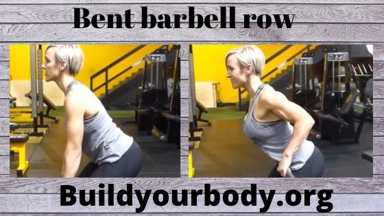bent barbell row, Fitness exercises