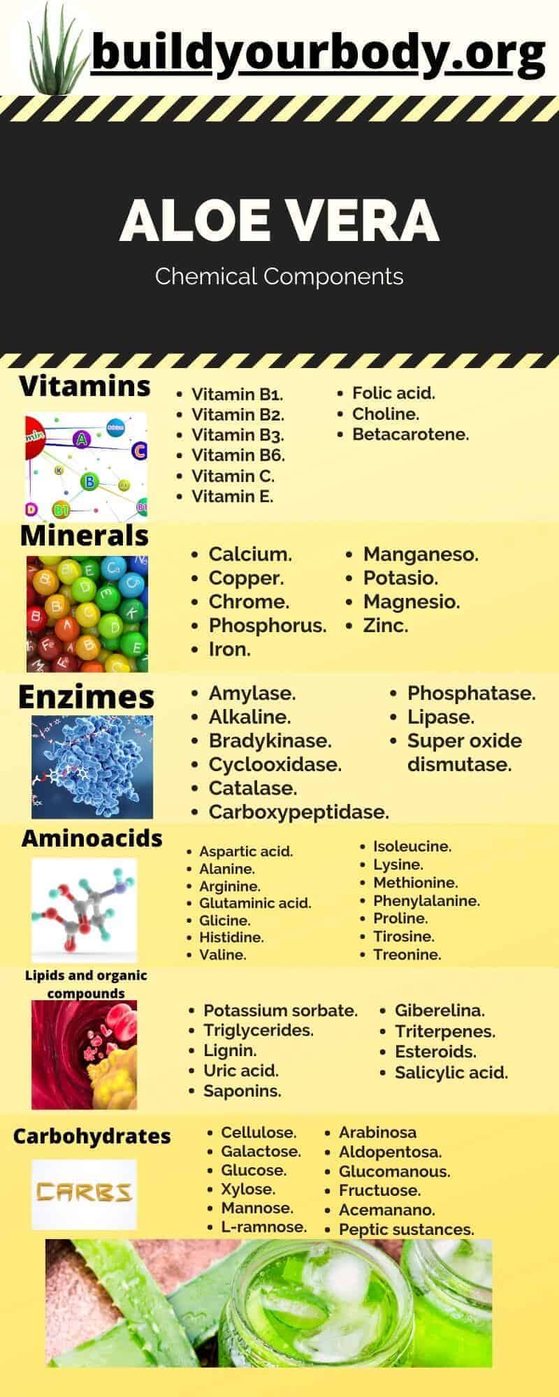 Infographics of the chemical components of Aloe Vera