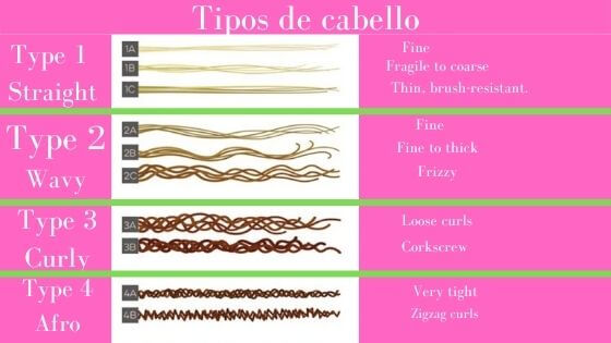Infographics of the types of hair