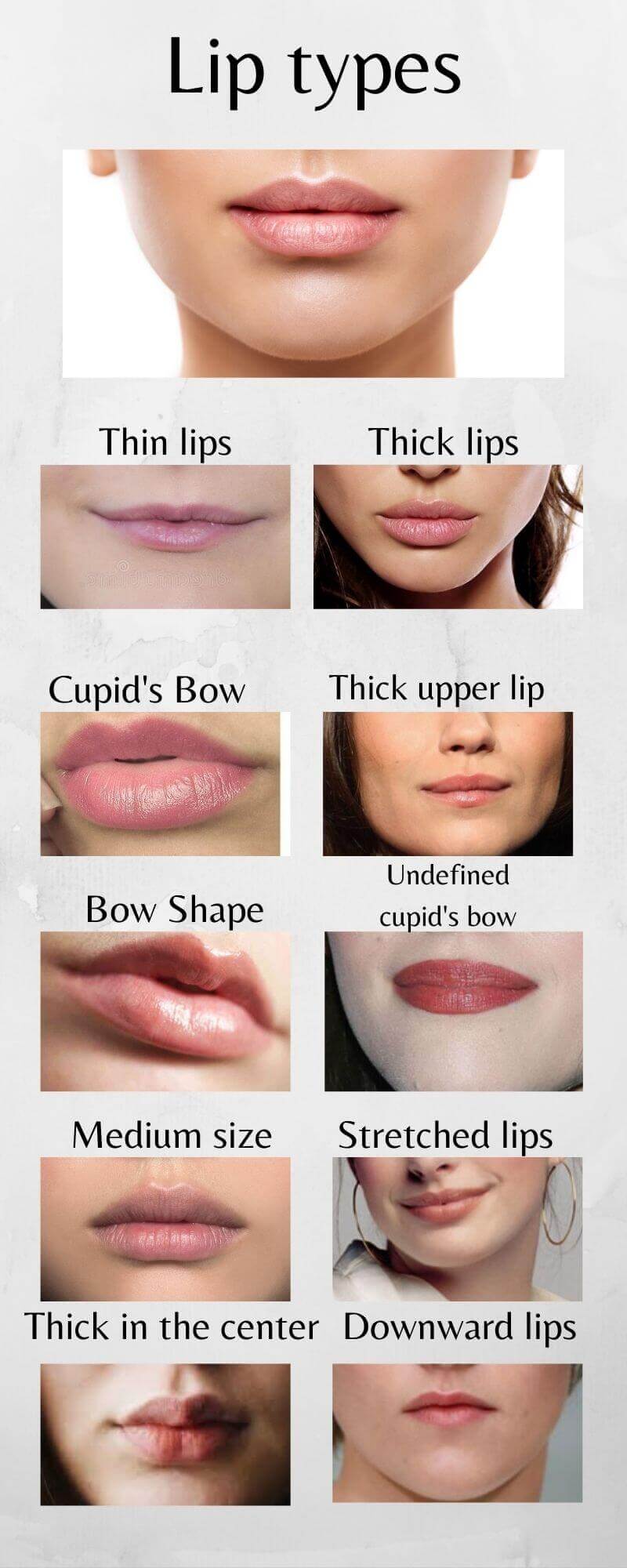 Infographic of all lip shapes
