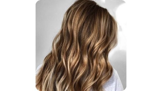 brown hair with dirty blonde highlights