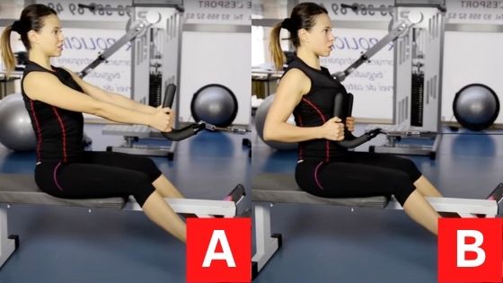 Seated row, back workouts for women