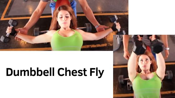 Dumbbell chest fly